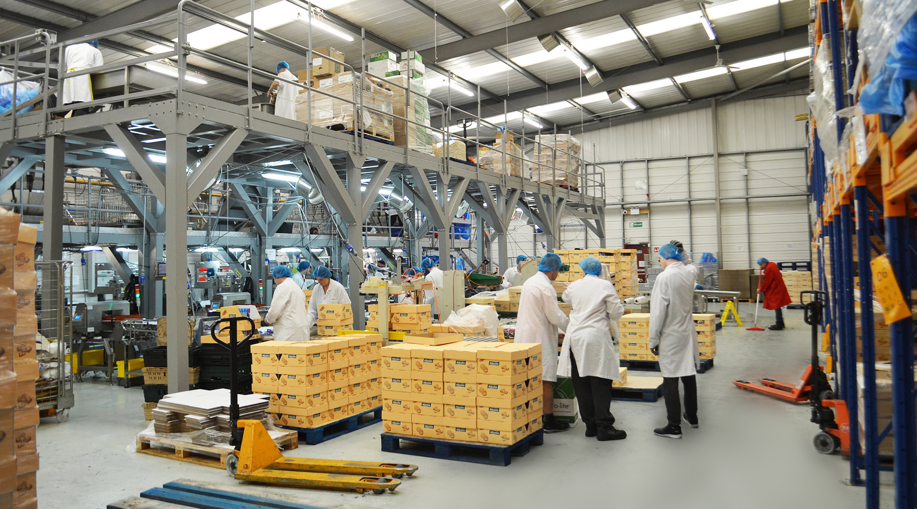 Evolution Foods: Redefining the Future of Nutrition